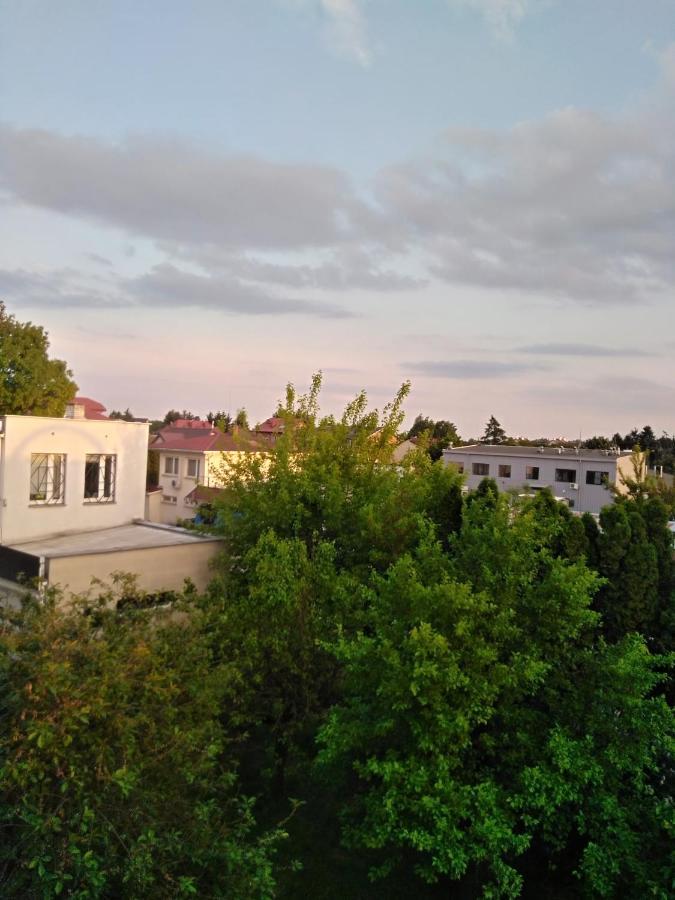 ラシン La Madriguera Bed & Breakfast エクステリア 写真