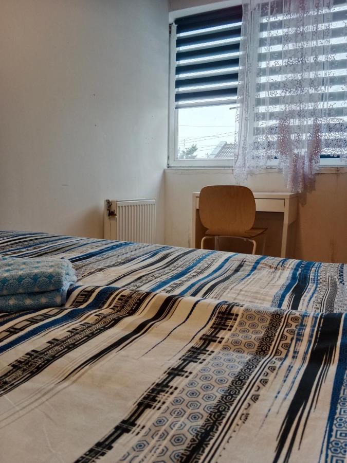 ラシン La Madriguera Bed & Breakfast エクステリア 写真